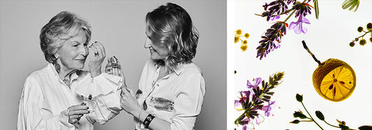 Produkty ze světa vůn&iacute;: parf&eacute;movan&eacute; vody, toaletn&iacute; vody, sv&iacute;čky